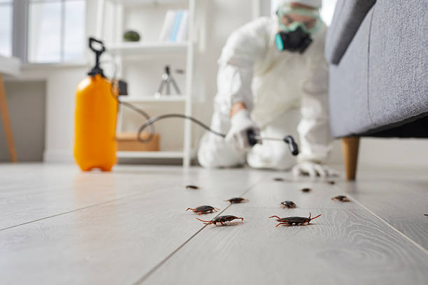 Trusted Cockroach Control service in Temple Terrace, FL - Nex Pest Control